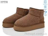 Купить Угги Угги ITTS A1707-2