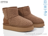 Купить Угги Угги ITTS A1708-2