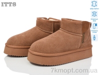Купить Угги Угги ITTS A1715-20