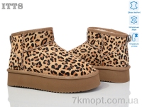 Купить Угги Угги ITTS A1805
