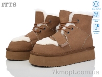 Купить Ботинки(зима) Ботинки ITTS A1807B