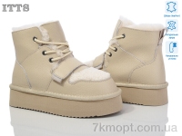 Купить Ботинки(зима) Ботинки ITTS A1807E