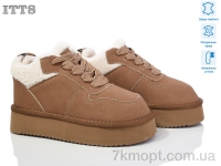 Купить Ботинки(зима) Ботинки ITTS A1808B