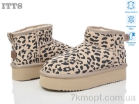 Купить Угги Угги ITTS A1811-2