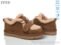 Купить Ботинки(зима) Ботинки ITTS BB01-28