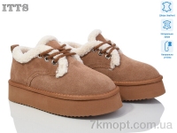 Купить Ботинки(зима) Ботинки ITTS BB02-20